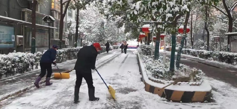 雪落知寒意 行动暖人心｜亚太物业人清雪进行时